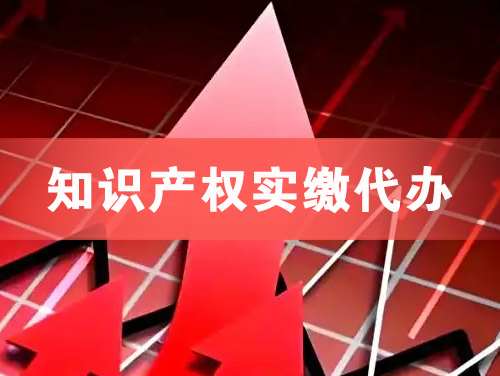 龙口知识产权实缴资本代办